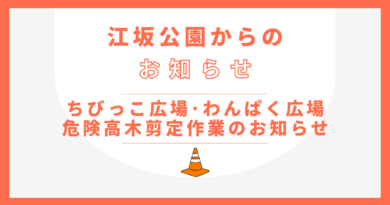 遊具エリア 樹木選定作業について 遊具エリア 樹木選定作業について